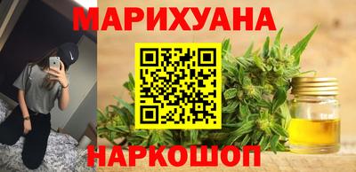 Альфа ПВП Гатчина