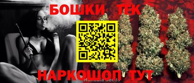 Альфа ПВП Гатчина
