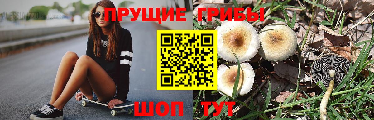 Галлюциногенные грибы Cubensis Можайск